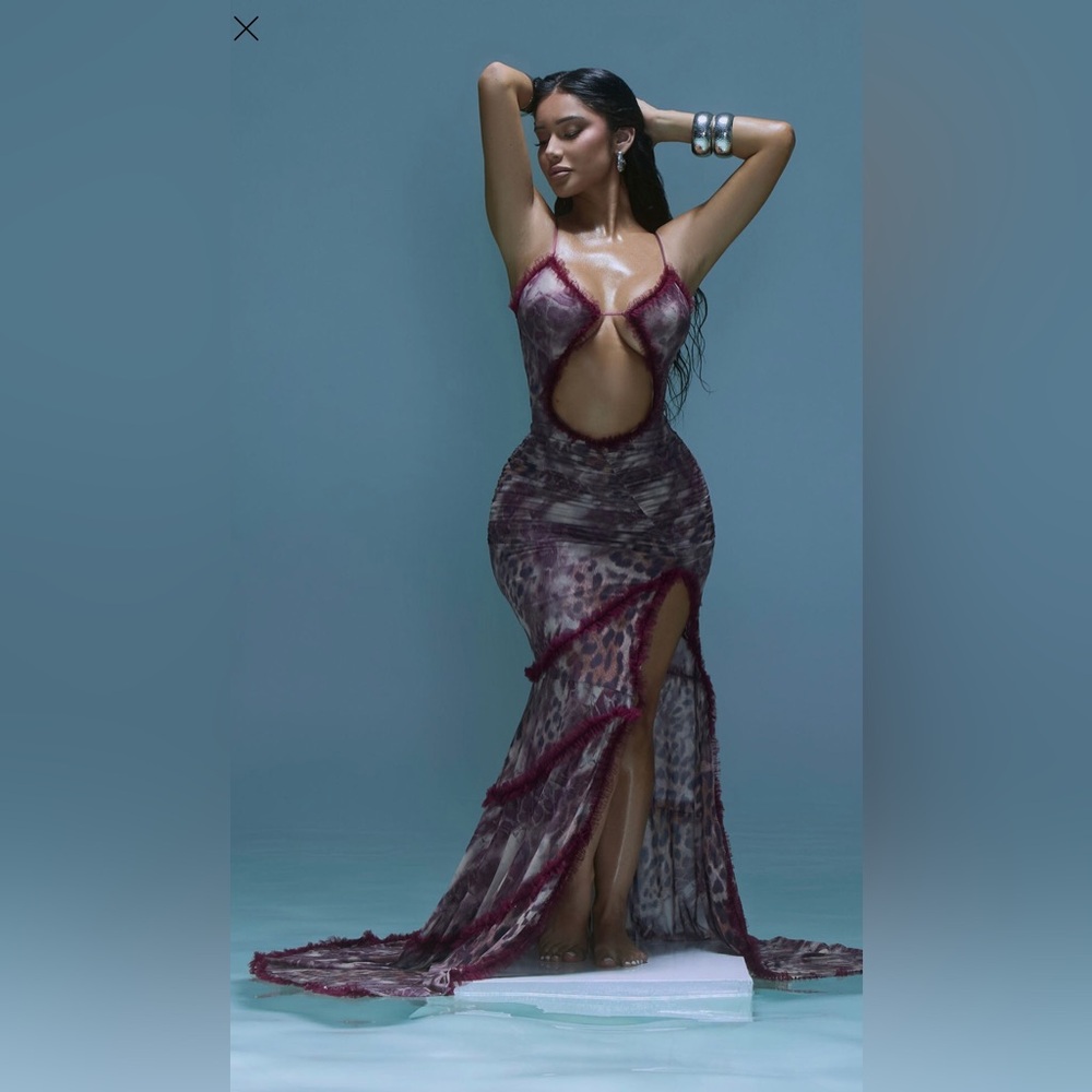 Hailey Leopard Mesh Maxi Dress
